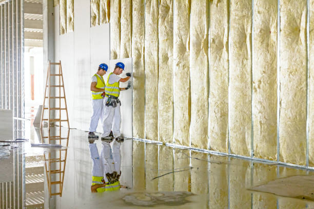 Insulation Replacement Services in Benson, UT